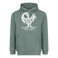 Sage african adinkra sankofa Heavyweight Hoodie - artisFamous