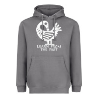 Storm african adinkra sankofa Heavyweight Hoodie - artisFamous