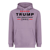 Donald Trump 2024 Take America Heavyweight Hoodie | Teevron