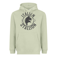Matcha Italian Stallion Heavyweight Hoodie - artisFamous