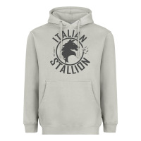 Moon Dust Italian Stallion Heavyweight Hoodie - artisFamous