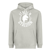 Moon Dust Italian Stallion Heavyweight Hoodie - artisFamous