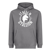 Storm Italian Stallion Heavyweight Hoodie - artisFamous