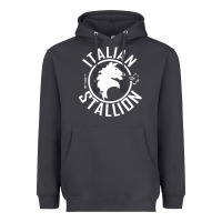 Smoke Italian Stallion Heavyweight Hoodie - artisFamous