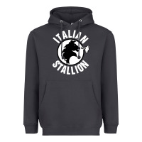 Smoke italian stallion Heavyweight Hoodie - artisFamous