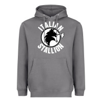Storm italian stallion Heavyweight Hoodie - artisFamous