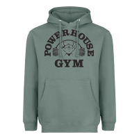Sage power hause gym Heavyweight Hoodie - artisFamous