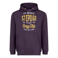 Plum I'm The Best Stepdad | Father's Day Heavyweight Hoodie - artisFamous