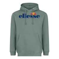 Sage Ellesse Heavyweight Hoodie - artisFamous