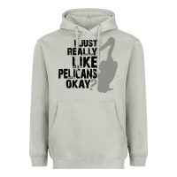 Moon Dust i just really like pelicans okay Heavyweight Hoodie - artisFamous