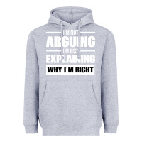 Heather Grey I'M NOT ARGUING I'M JUST EXPLAINING WHY I'M RIGHT FUNNY Heavyweight Hoodie - artisFamous