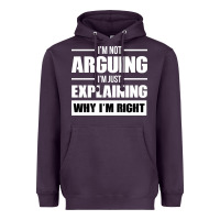 Plum I'M NOT ARGUING I'M JUST EXPLAINING WHY I'M RIGHT FUNNY Heavyweight Hoodie - artisFamous
