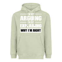 Matcha I'M NOT ARGUING I'M JUST EXPLAINING WHY I'M RIGHT FUNNY Heavyweight Hoodie - artisFamous