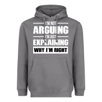 Storm I'M NOT ARGUING I'M JUST EXPLAINING WHY I'M RIGHT FUNNY Heavyweight Hoodie - artisFamous