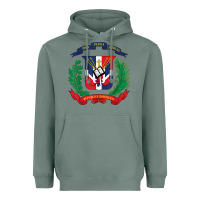 Sage dominican republic flag national emblem republica dominicana t shirt Heavyweight Hoodie - artisFamous