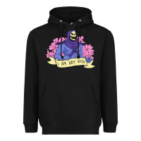 Black Vintage Skeletor ı am not nice Heavyweight Hoodie - artisFamous