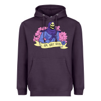 Vintage Skeletor ı Am Not Nice Heavyweight Hoodie | Teevron
