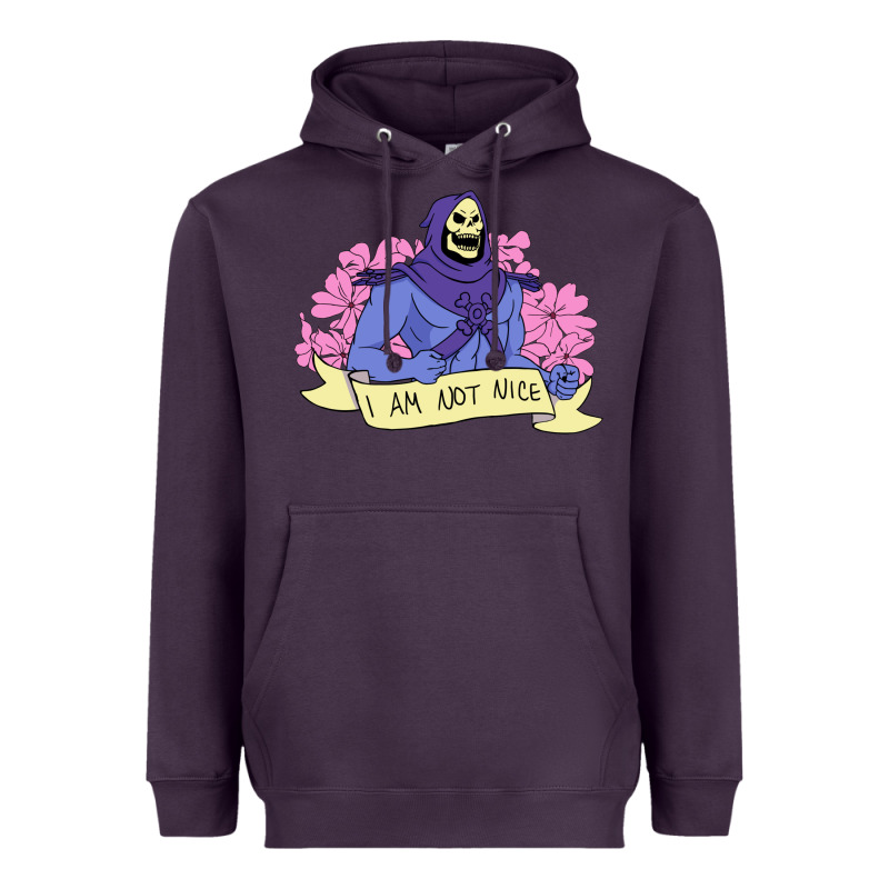 Vintage Skeletor ı Am Not Nice Heavyweight Hoodie by artisFamous | Teevron