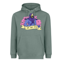 Sage Vintage Skeletor ı am not nice Heavyweight Hoodie - artisFamous