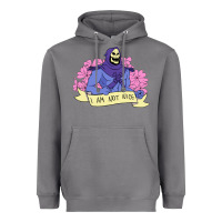 Storm Vintage Skeletor ı am not nice Heavyweight Hoodie - artisFamous
