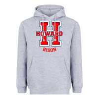 Heather Grey howard 1867 university Heavyweight Hoodie - artisFamous