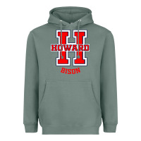 Sage howard 1867 university Heavyweight Hoodie - artisFamous