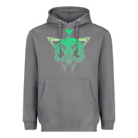 Storm team rayquaza Heavyweight Hoodie - artisFamous
