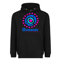 Black lost oceanic airlines Heavyweight Hoodie - artisFamous