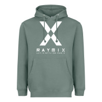 Sage raymix latin stylish Heavyweight Hoodie - artisFamous