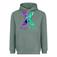 Sage raymix latin stylish Heavyweight Hoodie - artisFamous