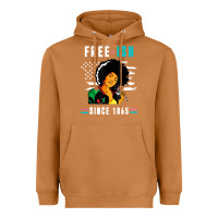 Meerkat juneteenth free ish since 1865 black Heavyweight Hoodie - artisFamous