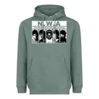 Sage n w a Heavyweight Hoodie - artisFamous
