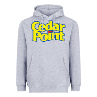 Heather Grey cedar point Heavyweight Hoodie - artisFamous