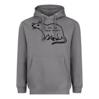 Storm I Ate All Your Money Heavyweight Hoodie - artisFamous