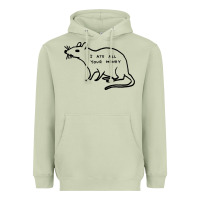 Matcha I Ate All Your Money Heavyweight Hoodie - artisFamous