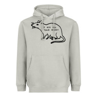 Moon Dust I Ate All Your Money Heavyweight Hoodie - artisFamous