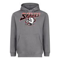 Storm old sabers Heavyweight Hoodie - artisFamous