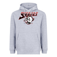 Heather Grey old sabers Heavyweight Hoodie - artisFamous