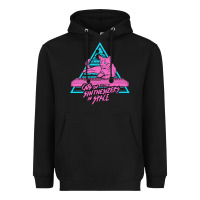 Black Cats on Synthesizers in Space Heavyweight Hoodie - artisFamous
