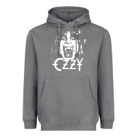Storm crazy train vintage rock Heavyweight Hoodie - artisFamous