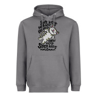 Storm soft kitty warm kitty Heavyweight Hoodie - artisFamous