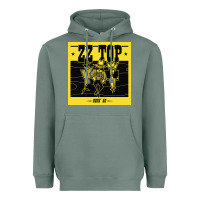 Sage zz top  goin  50 Heavyweight Hoodie - artisFamous