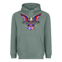 Sage diplomats music Heavyweight Hoodie - artisFamous