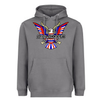 Storm diplomats music Heavyweight Hoodie - artisFamous