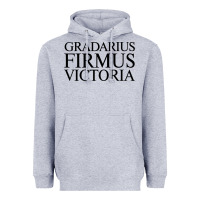 Heather Grey gradarius firmus victoria Heavyweight Hoodie - artisFamous