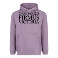 Gradarius Firmus Victoria Heavyweight Hoodie | Teevron