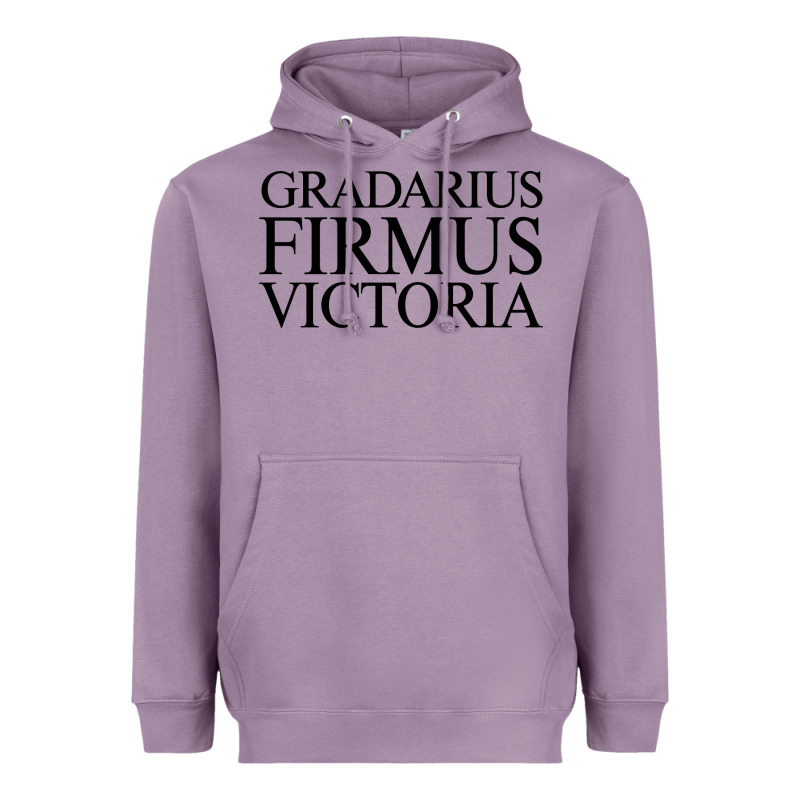 Gradarius Firmus Victoria Heavyweight Hoodie by artisFamous | Teevron