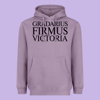 Gradarius Firmus Victoria Heavyweight Hoodie Designed By Artisfamous