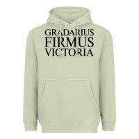 Matcha gradarius firmus victoria Heavyweight Hoodie - artisFamous