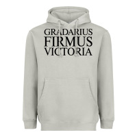Moon Dust gradarius firmus victoria Heavyweight Hoodie - artisFamous
